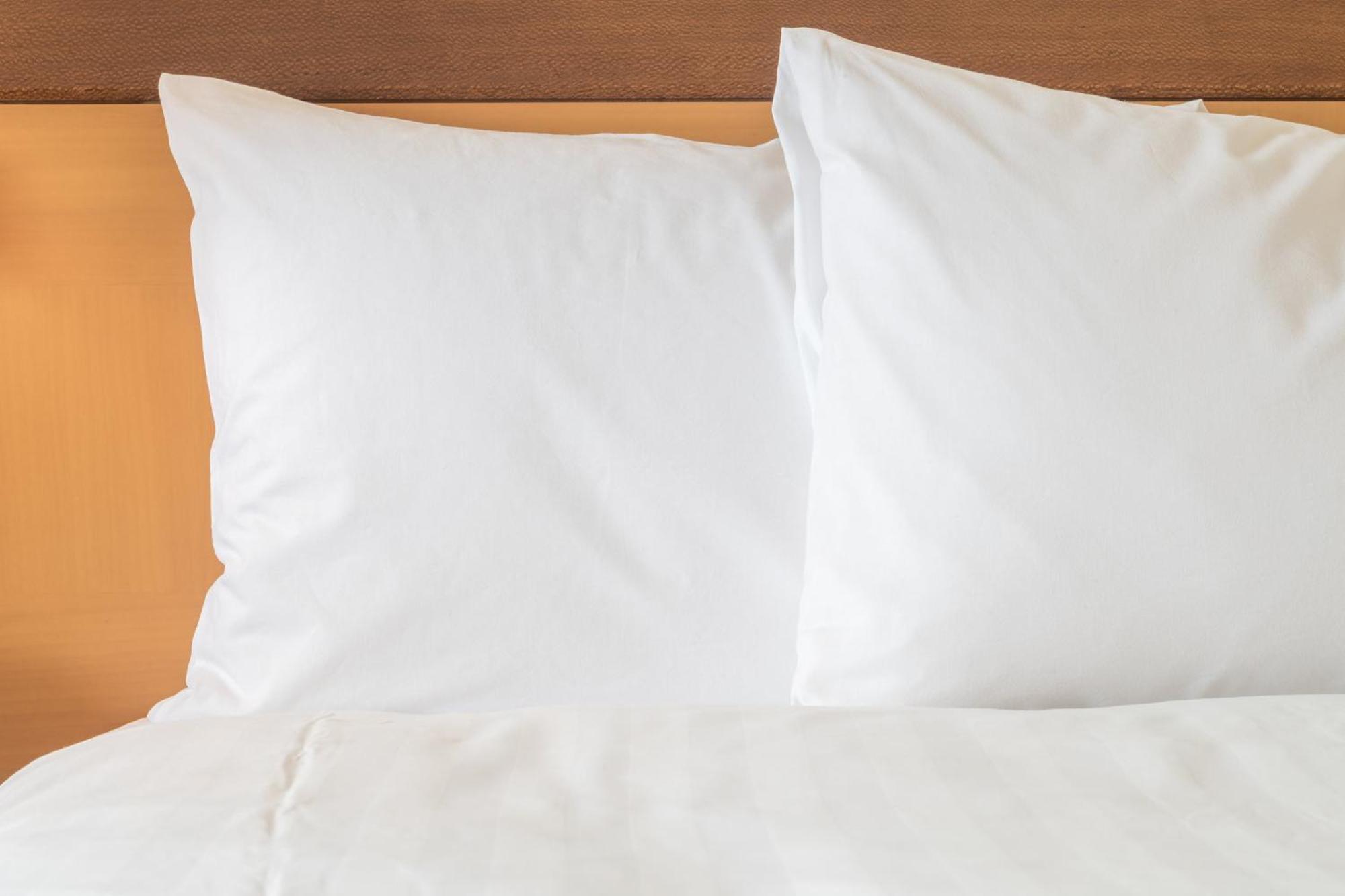 Holiday Inn Express Calgary South By Ihg Exteriör bild